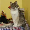 Отзыв от Ангелина Новикова